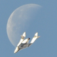 Illustration for article titled This unbelievable image of Virgin Galactics SpaceShipTwo is 100% real